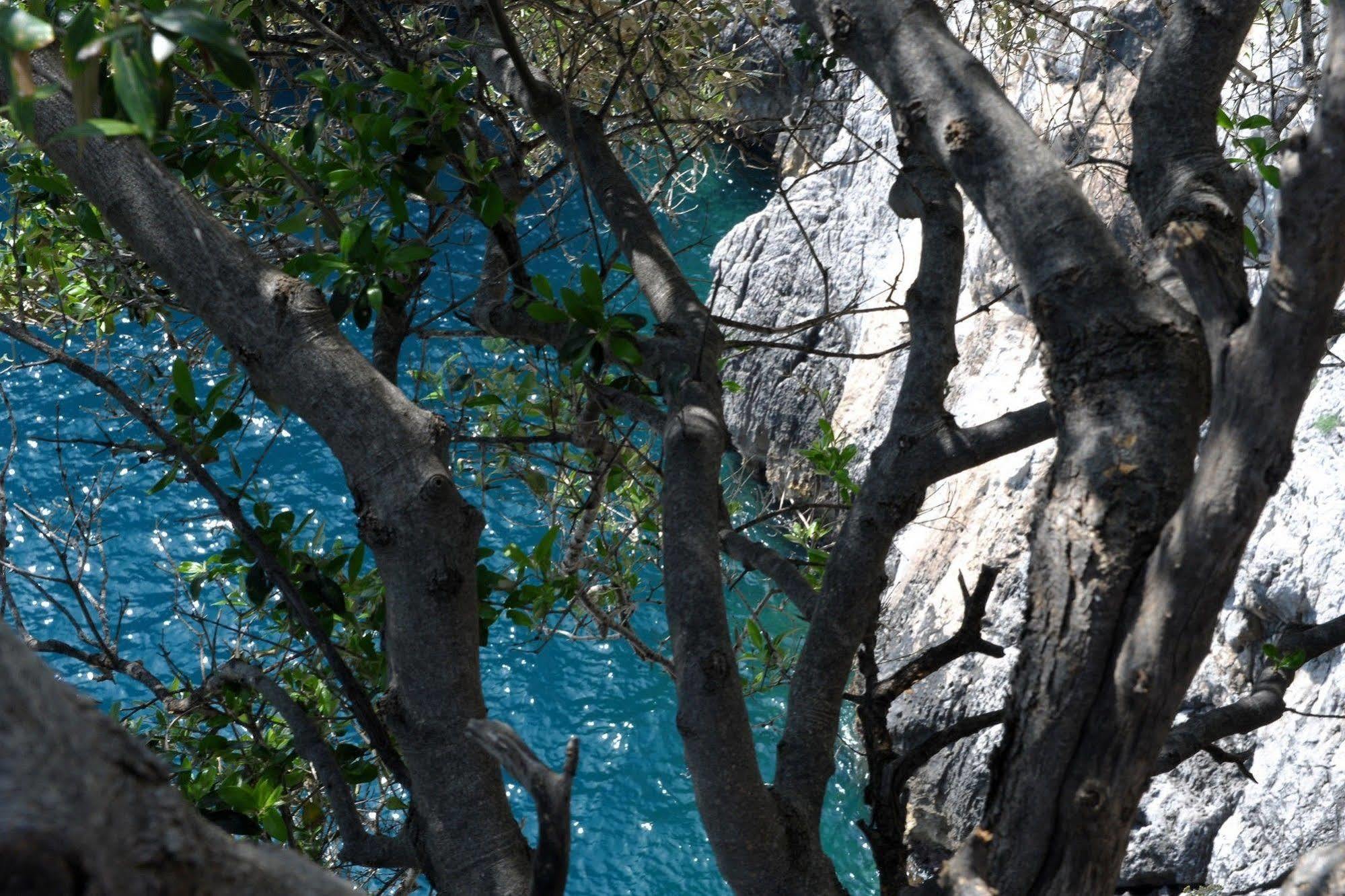 La Locanda Del Fiordo Furore Εξωτερικό φωτογραφία